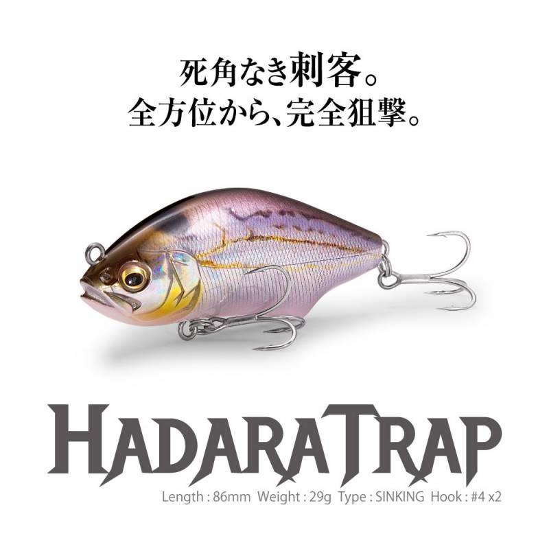 メガバス　カゲロウ4点セット＋ハドラトラップ2点 メガバス 2025 Limited HADARA TRAP どチャートコノシロ (ソルトルアー