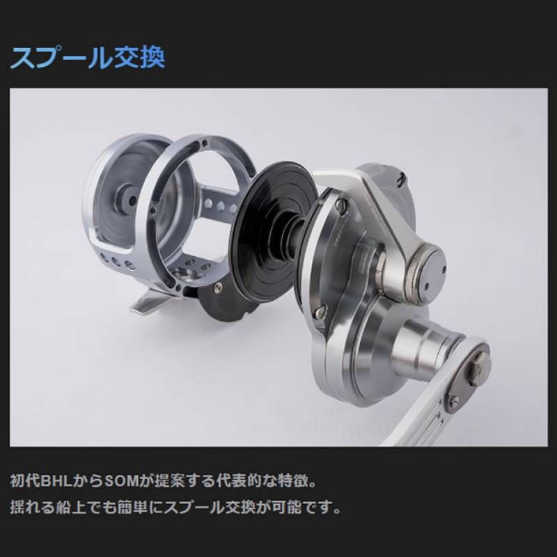 スタジオオーシャンマーク ブルーヘブン L80Pw/L-LB(19)AE100 ライト