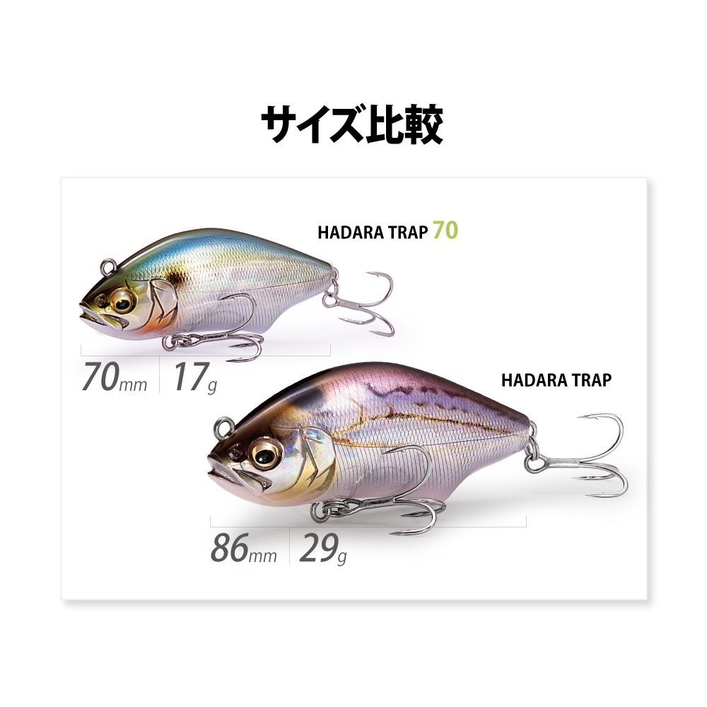 メガバス HADARA TRAP (ハダラトラップ) 70 GG キンボラ (シーバス