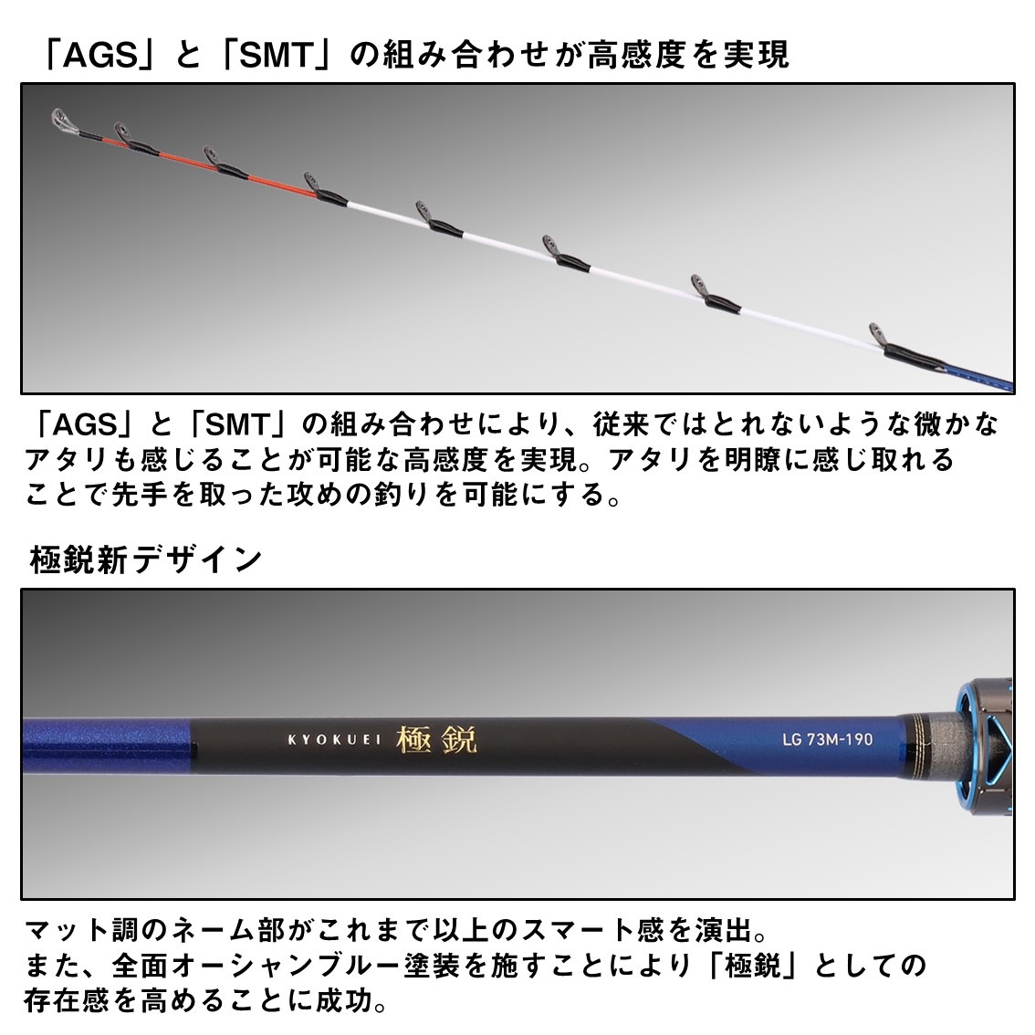 ダイワ 極鋭LG 73MH-185 (Daiwa 竿 ロッド 船 海 釣り 2ピース) | 船竿