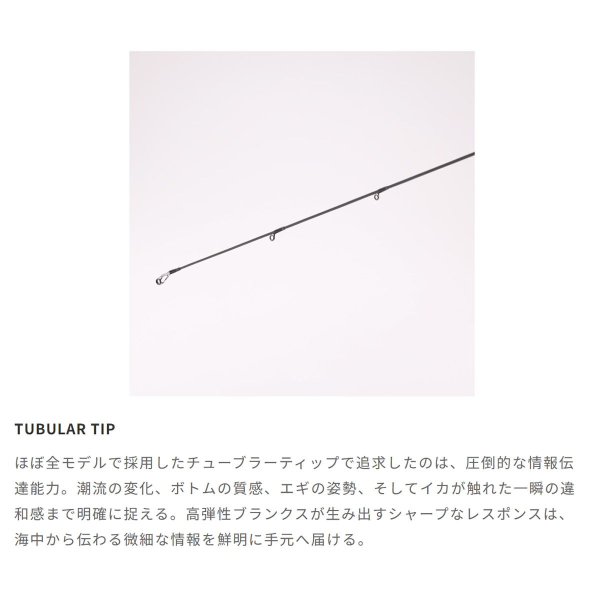テイルウォーク TW エギストTZ S77ML (エギングロッド 竿 釣り 2ピース
