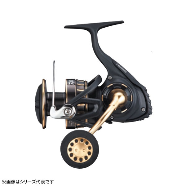 ダイワ 23 BG SW 4000D-CXH (スピニングリール) | すべての商品