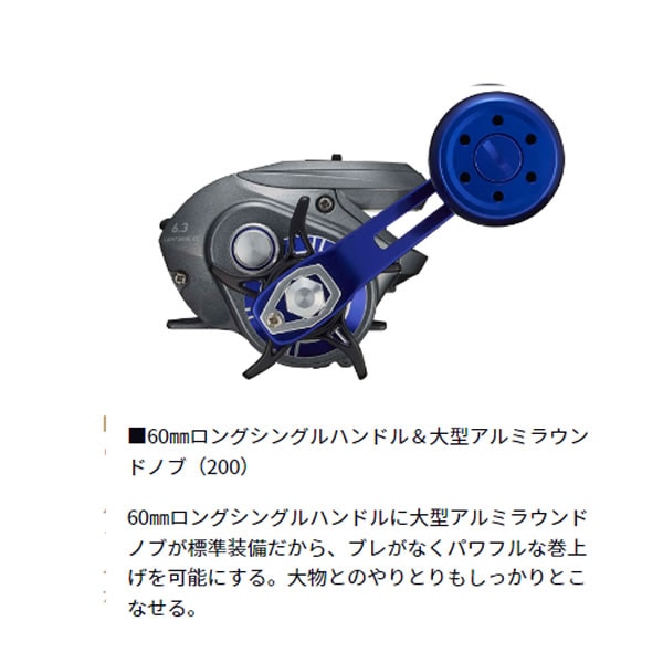 ダイワ ライトゲーム X IC 200 (Daiwa 両軸リール 釣り 右 カウンター