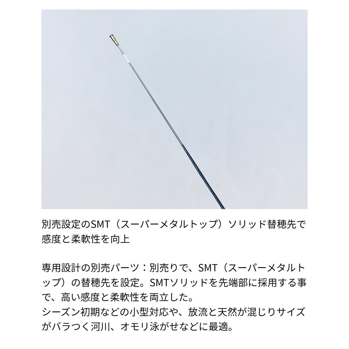 ダイワ 銀影エア A H90 E (Daiwa 竿 ロッド 鮎 釣り)(大型商品A) | 鮎