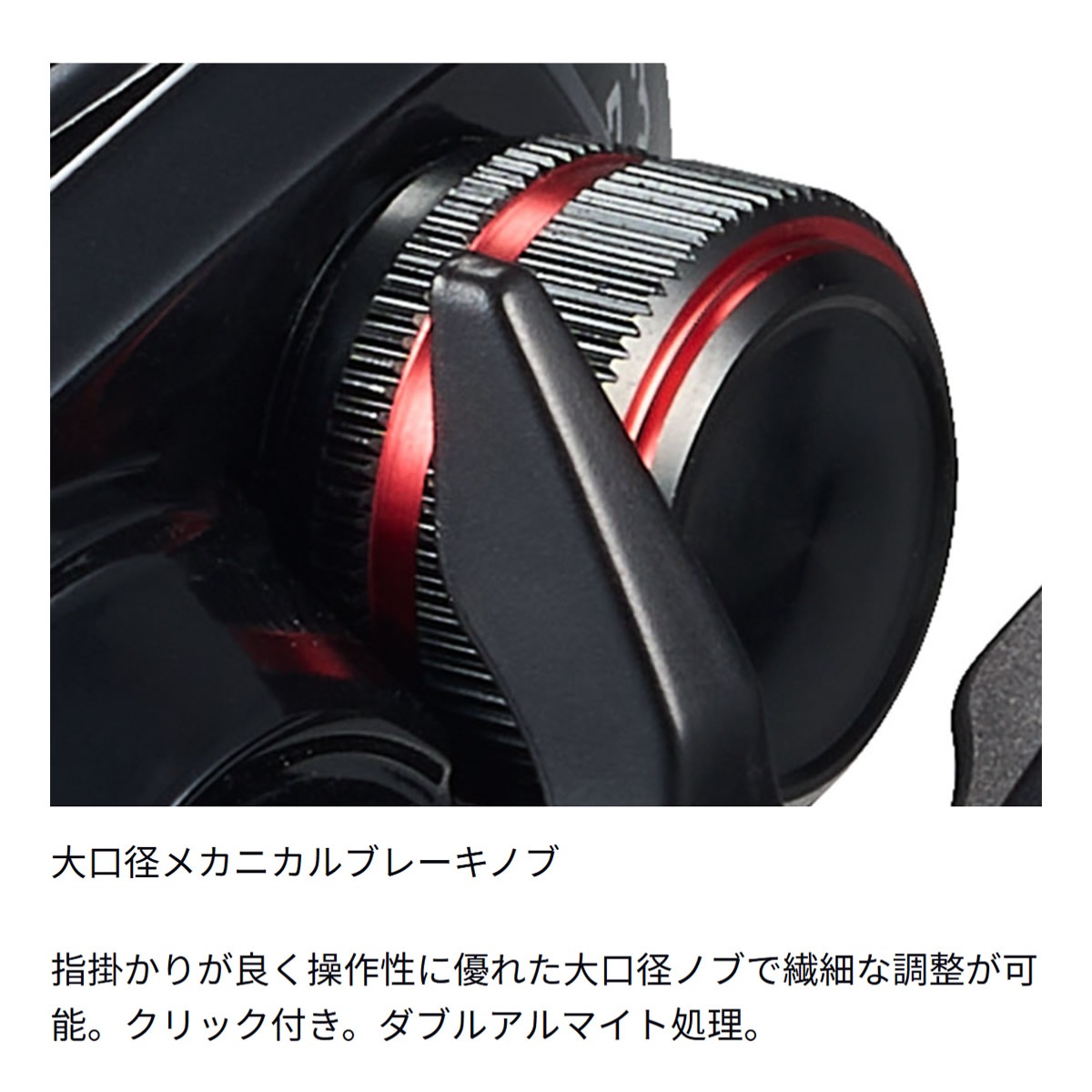 ダイワ ライトゲームX 100H-DH (Daiwa 両軸リール 釣り 右ハンドル