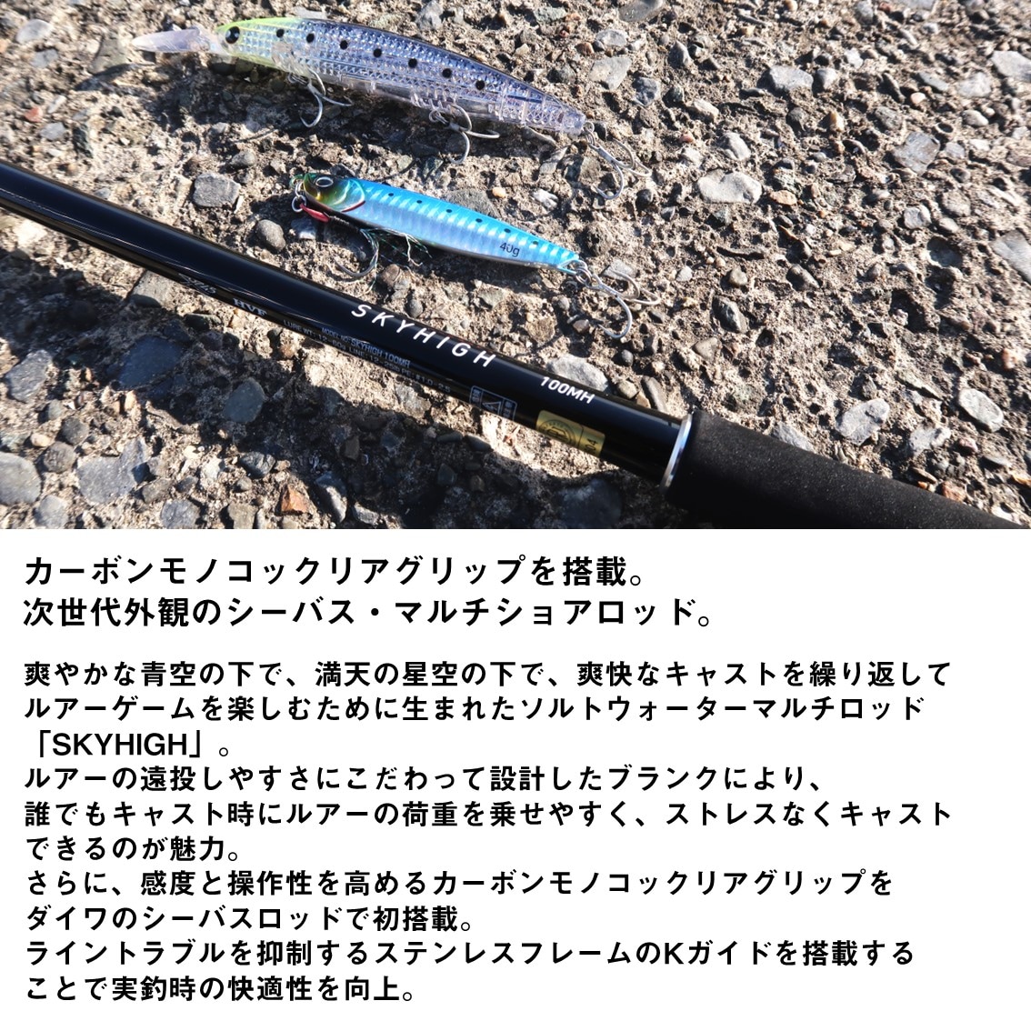 ダイワ スカイハイ 96M (Daiwa ショアジギング ロッド 竿 釣り 2ピース
