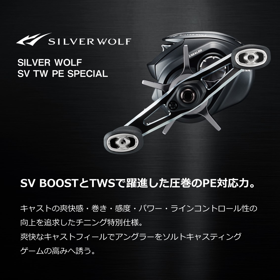 ダイワ シルバーウルフ SV TW PE スペシャル 1000XH (右ハンドル