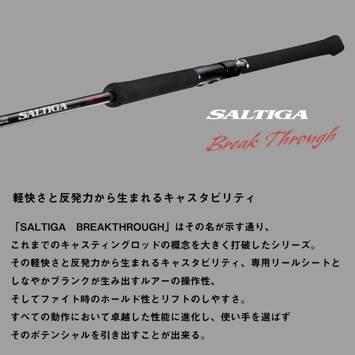 ダイワ ソルティガ ブレイクスルー C83-6 (Daiwa ショアジギング