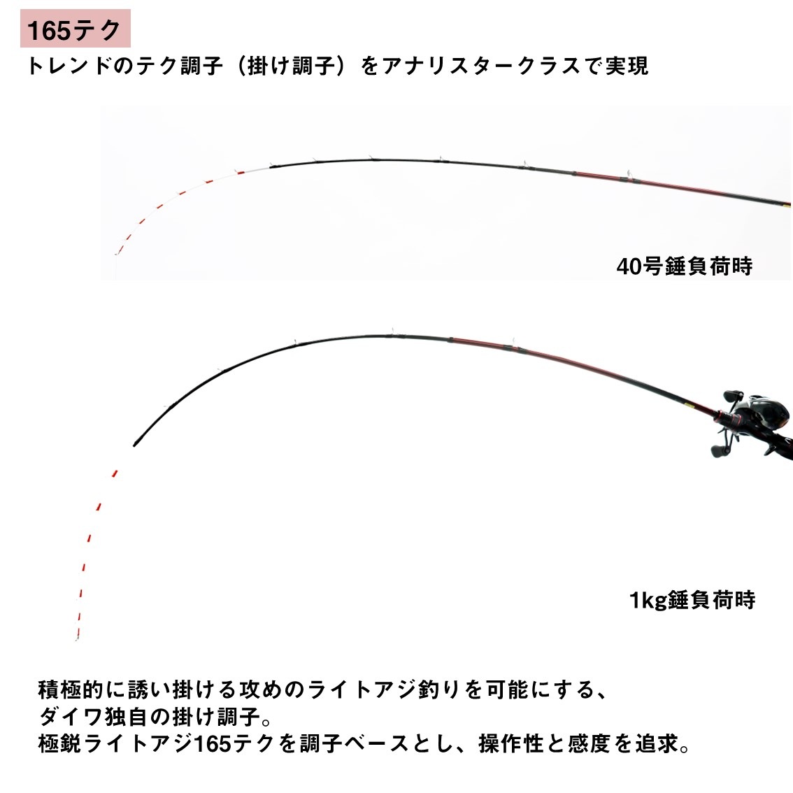 5_000000100867.jpg?1772228654