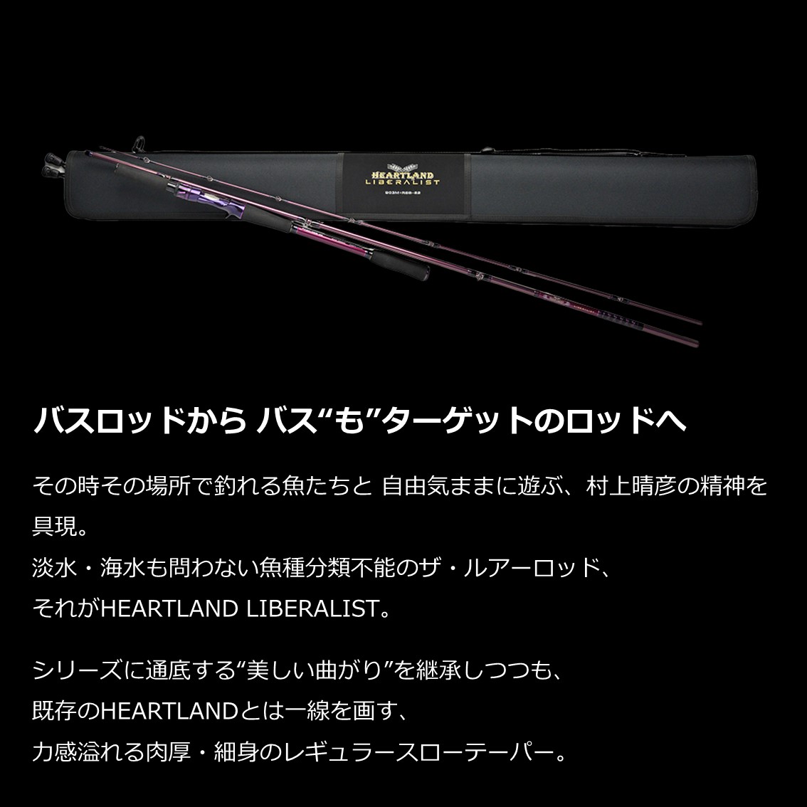 ダイワ ハートランドリベラリスト HL763M+RSB-23 (ブラックバスロッド