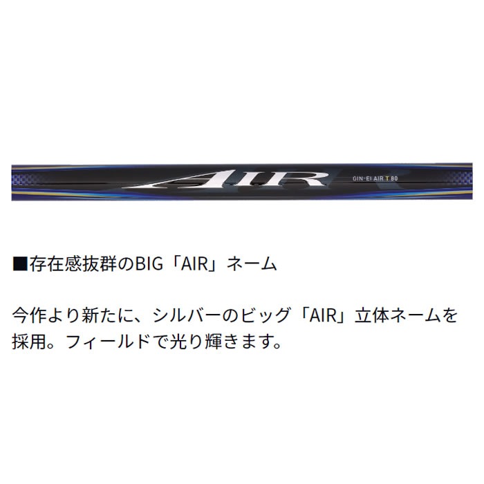 ダイワ 銀影エア ショートリミテッド MT 87M (Daiwa 竿 ロッド 鮎 釣り