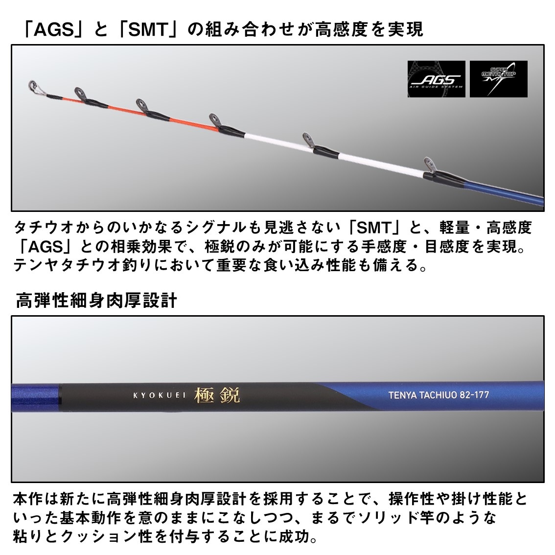ダイワ 極鋭テンヤタチウオ 91-172 (Daiwa 竿 ロッド 船 海 釣り) | 船