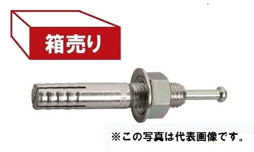 C-3060 三価クロメート オールアンカー （50本入り） | 芯棒打込式,C  