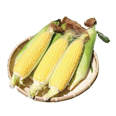 S7-2 ٻη̣3kg