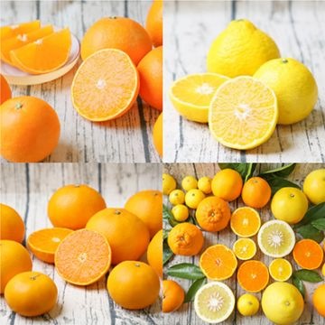 S12-4��������Ӱ�ɲ���̤��ڤ��������