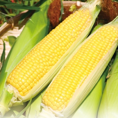 S7-2 �ٻη�̣����2.5kg