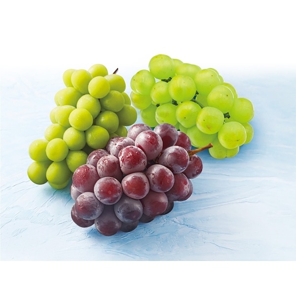 S9-5 ���� �����ʥ��å� �� ��3kg