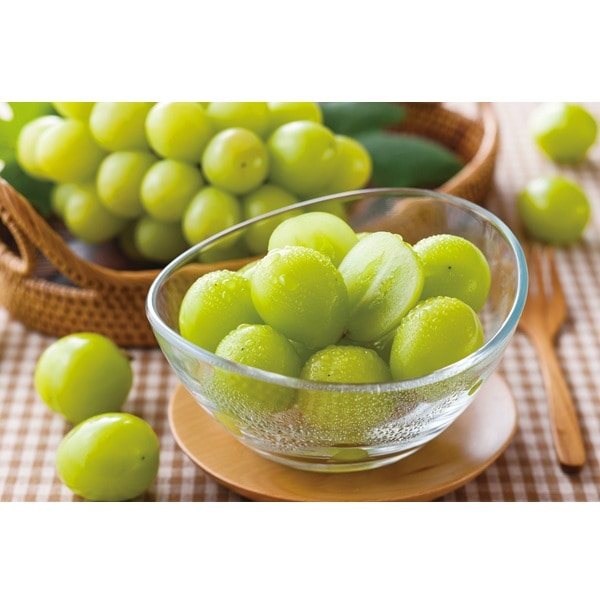 S9-3 ���㥤��ޥ����å� ��1kg 2˼
