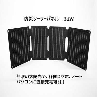 K10-2 31W�ɿ好���顼�ѥͥ�