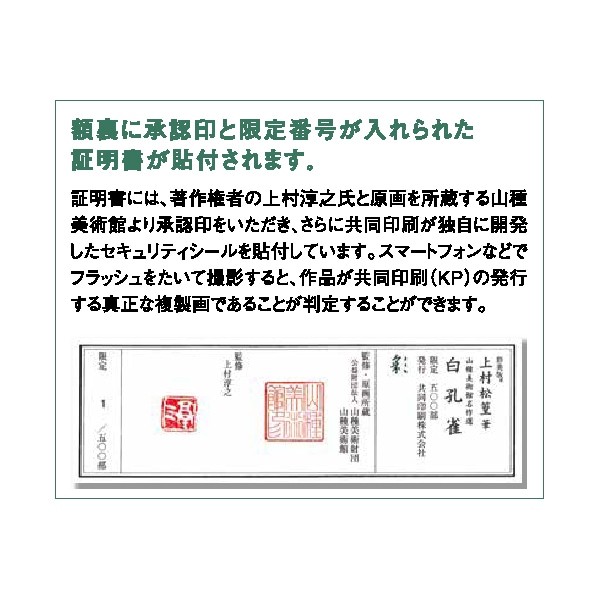 ✨白孔雀 花鳥 上村松篁　全8枚✨ ✨白孔雀 花鳥 上村松篁全8枚✨
