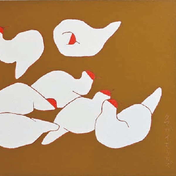 ��ë���ַ��ܡ�