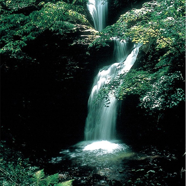 JP3-2 ResetTime���َ�����ŷ����2L��6�ܡ�4Ȣ