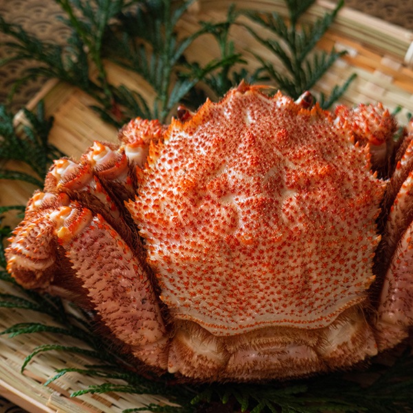 S2-11 ���ˤޤ�äȹ���ͤ�4�ĥ��åȡ��ӥ��ˡ�