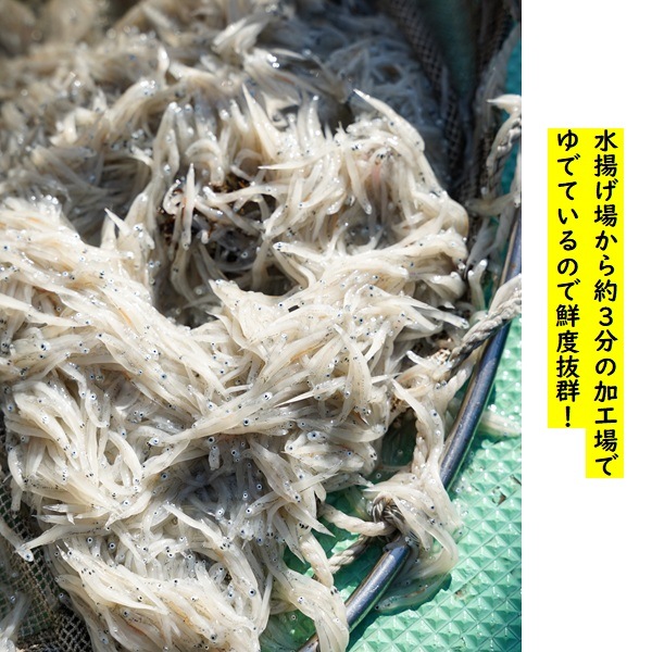 S2-10 ��ɲ�֤֤����ޤ����󡪡ץ��å�