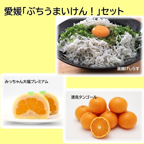 S2-10 ��ɲ�֤֤����ޤ����󡪡ץ��å�