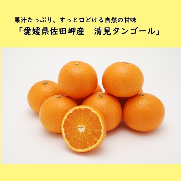 S2-10 ��ɲ�֤֤����ޤ����󡪡ץ��å�