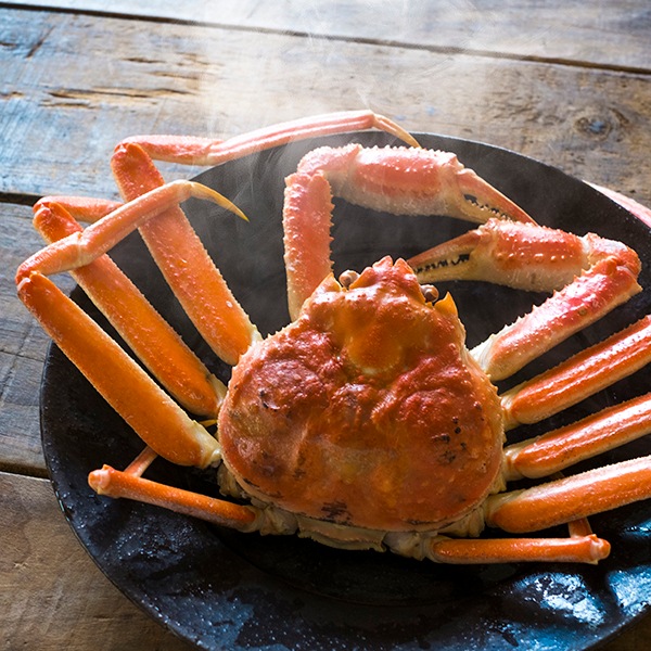 S11-5 ˤޤäȹͤܥ磻ˡ4ĥå