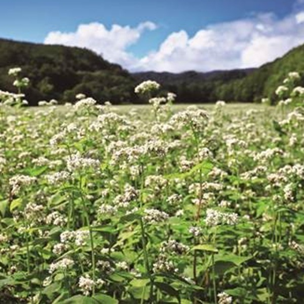 S11-2 ꥸʥ뿮ͱХåȡ19ʬ