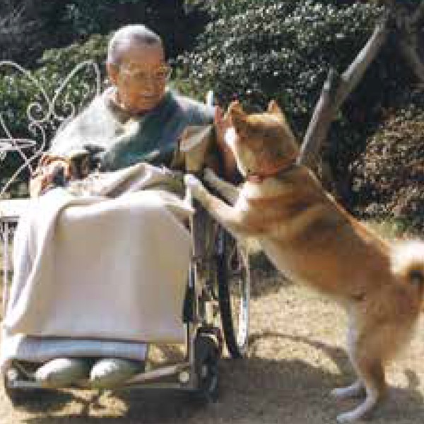 小倉遊亀「晴日」＜額＞｜エンディショップ【公式通販】