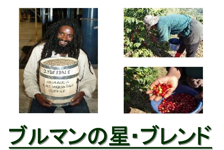 ブルマンの星ブレンド　≪ブルーマウンテンNo,1 クライスデール使用≫