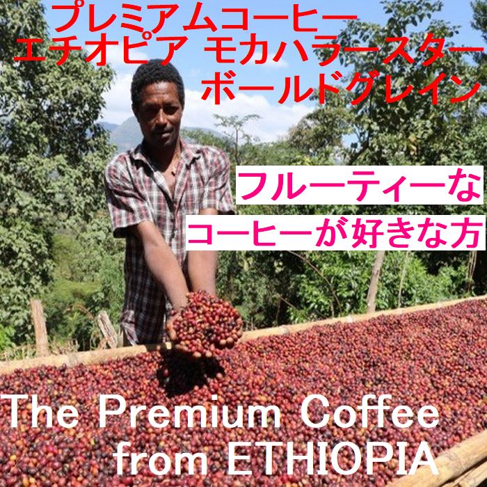プレミアムコーヒー エチオピア　モカハラースター　ボールドグレイン　　