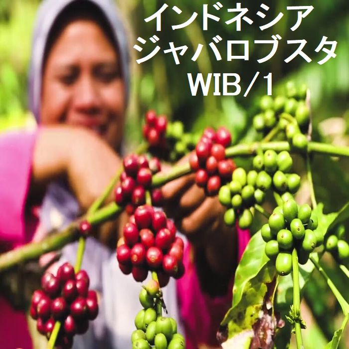 追加商品画像