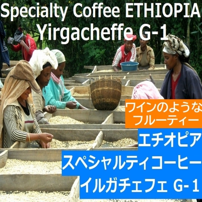 スペシャルティーコーヒー エチオピア イルガチェフ Grade-1　 (第２週お買得コーヒー)