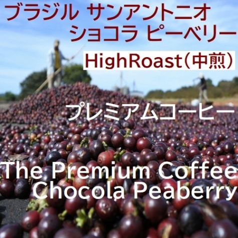 プレミアムコーヒー  ブラジル サンアントニオ　 ショコラ ピーベリー  (第２週お買得コーヒー)