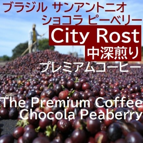 中深煎り　プレミアムコーヒー　ブラジル サンアントニオ　 ショコラ ピーベリー  (第２週お買得コーヒー)
