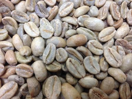 コーヒー生豆/タンザニア3kg/ モカマタリNo9 2kg /特別2種セット