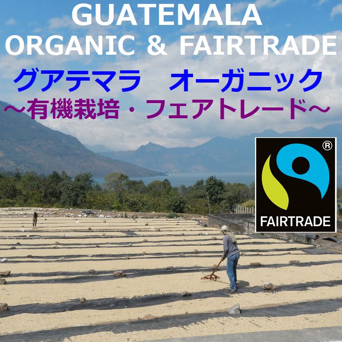 グアテマラ 有機　オーガニック　フェアトレード　チョフスニル　 ≪コーヒーフェアー価格≫