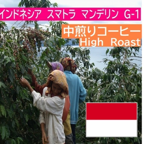 インドネシア  スマトラマンデリン　G-1　 ≪第１週お買得コーヒー≫
