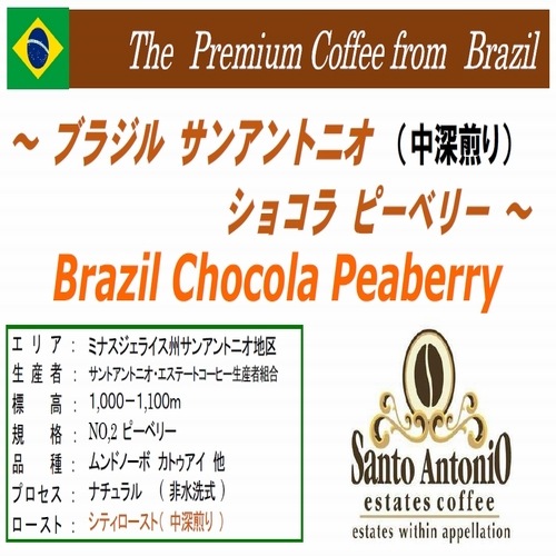 【クリックポスト 送料無料】ブラジル サンアントニオ ショコラピーベリードリップバッグコーヒー　10袋セット
