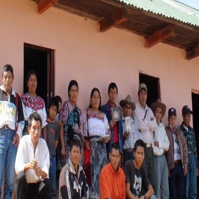 生豆 グアテマラ 有機JASオーガニック フェアトレード チョフスニル