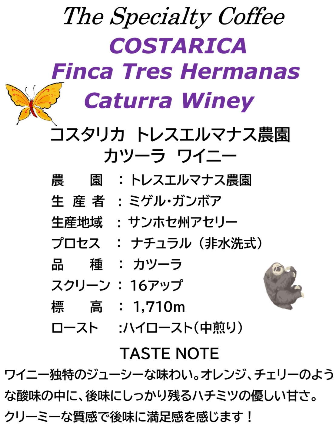 送料無料!! 生豆 スペシャルティコーヒー　焙煎飲み比べセット　500g×4種　2Kg