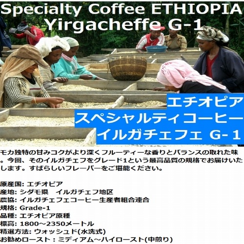 送料無料!! 生豆 スペシャルティコーヒー　焙煎飲み比べセット　500g×4種　2Kg