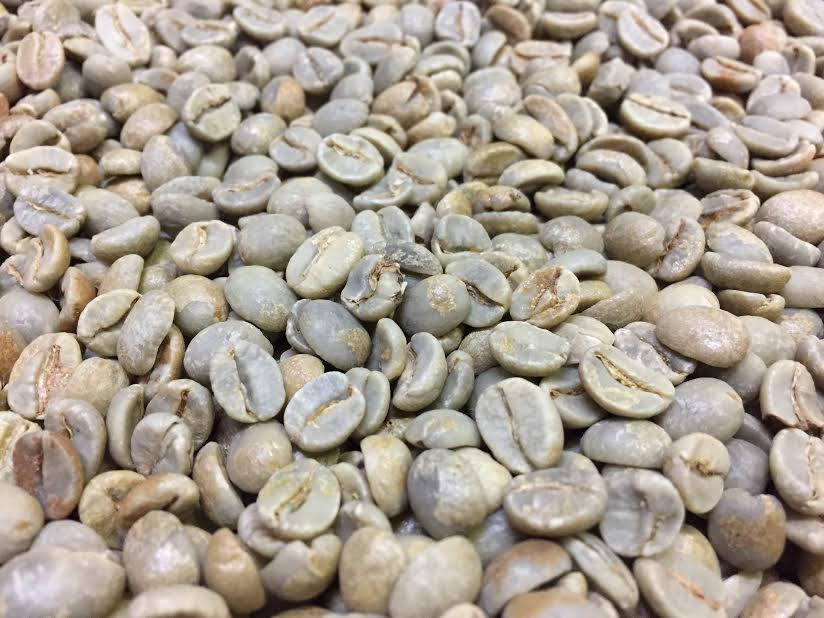 送料無料!! 生豆 ブレンドお楽しみセットA 1kg×4種 4Kg | 世界