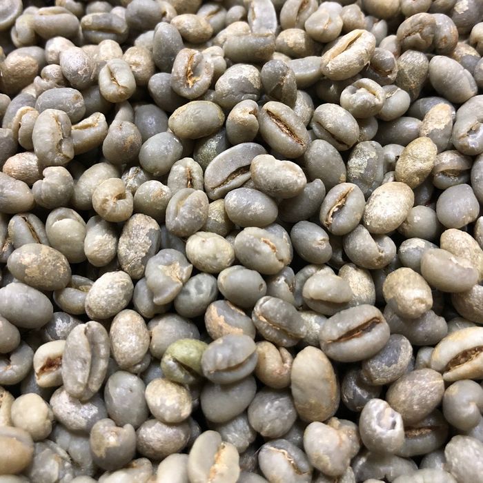 生豆　プレミアムコーヒー  ブラジル サンアントニオ　 ショコラ ピーベリー