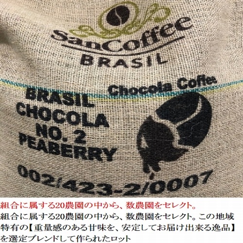 生豆　プレミアムコーヒー  ブラジル サンアントニオ　 ショコラ ピーベリー