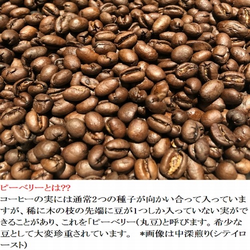 生豆　プレミアムコーヒー  ブラジル サンアントニオ　 ショコラ ピーベリー